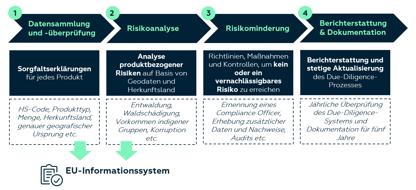 EUDR Anforderungen